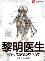 黎明医生门诊时间