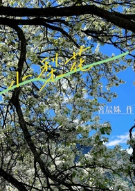 小梨花编织材料